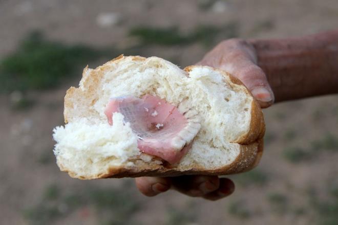 O saatlerde uyanan ei Hseyin Tngl ise kahvaltya konan ekmei bldnde takma di grnce byk bir aknlk yaad. Olay anlamaya alan ve einin takma diini ekmein ierisine koyabileceini dnen Tngl, darda koyunlar ile ilgilenen einin yanna giderek, "Takma diini neden ekmein ierisine koyuyorsun" diyerek kzd.