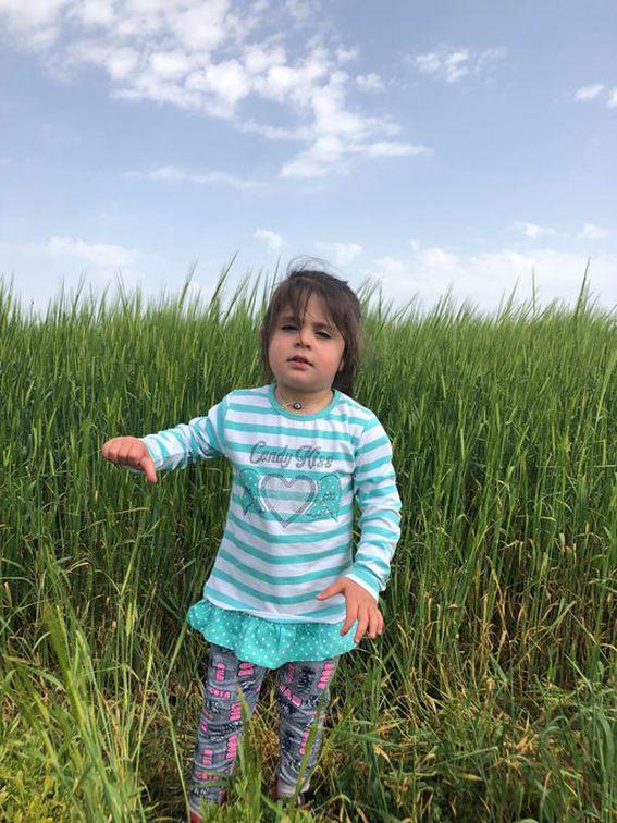 Ar kent merkezinde oturan Nihat ve kran Aydemir iftinin, bayramn birinci gn gittikleri Bezirhane kynde kaybolan kzlar Leyla'y arama almalarnn 18. gnnde ac haber gelmiti. Arama almalar sonucu Bezirhan kynde minik Leyla'nn cansz bedenine ulalmt.