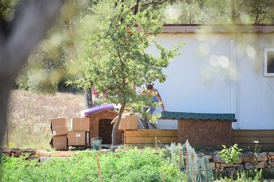 zlem Tekin gn boyunca alvar ve terlikle dolayor.