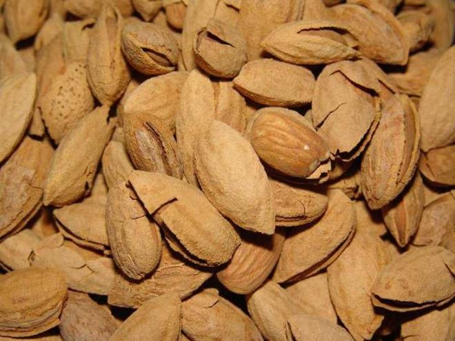 Badem btn kuruyemiler arasnda kilo vermeye daha ok yardmc olan bir yemi.