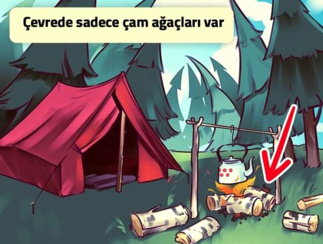 evrede sadece am aalar varken kamp ateinin baka odunlarla yaklm olmas.