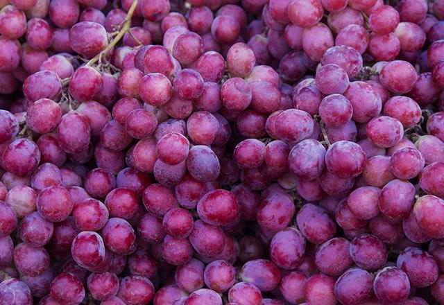 zm-  Kemik yapsnn gl olmasnda nemli olan bakr, demir ve manganez gibi mineralleri ieren zm, dzenli olarak tketildiinde, osteoporoz gibi yaa bal kemik erimelerinin balamasna engel oluyor. Sinir sistemini glendiren, beyin yaplarn koruyan ve akne tedavisinde etkili olan zmn bir porsiyonu 15 adede denk geliyor. eker oran yksek bir meyve olduu iin bu saynn almas karacier yalanmasna neden olabiliyor.