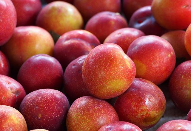 Erik-    Glisemik indeksi dk olan erik kan ekerini dengeliyor ve kilo vermeyi kolaylatryor. eker ierii dk bir meyve olduundan diyabet hastalar rahatlkla tketebilir. Stres kart mineral olarak bilinen magnezyum da erikte olduka fazla miktarda bulunuyor. 10 adet kk boy erik 1 porsiyon meyveye denk gelirken, erii tuzlayarak tketmek vcutta dem olumasna neden olabiliyor. zellikle tansiyon hastalarnn tuz dkmeden yemeleri art.