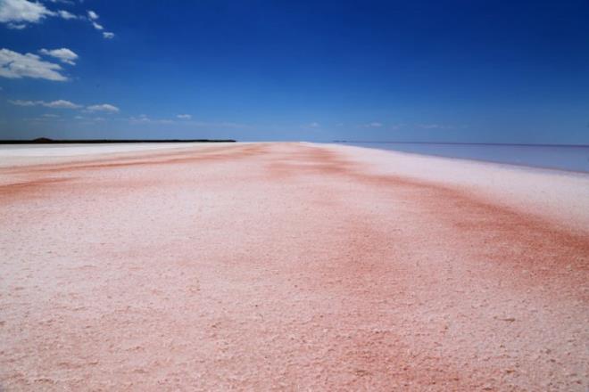 "GL YZEYNDEK KIRMIZILIK MAYIS AYI LE BALAR"