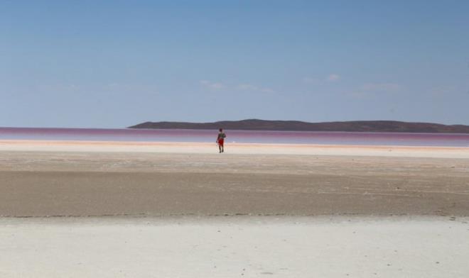 Bu su yosunu flamingolarn besin zinciri ierisinde bulunduundan dolay bu blgeler flamingolara da ev sahiplii yapmaktadr." dedi.