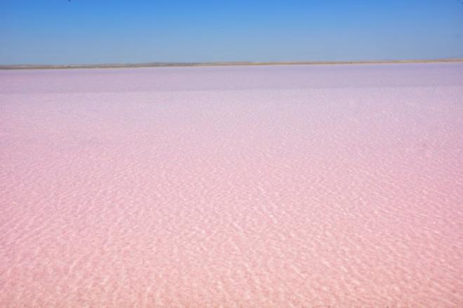 "Genellikle gl yzeyindeki krmzlk mays ay ile balar. Bunun sebebi yalarn azalmas ve sudaki tuzluluk orannn artmasdr.