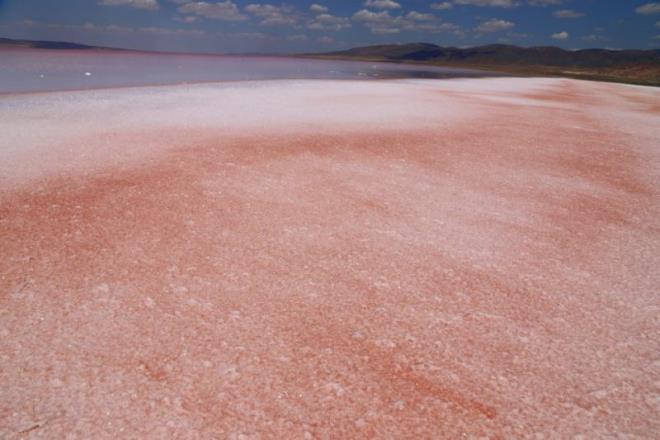 Doan, gl iinde bulunan tuz havuzlarndaki su seviyesini dzenli olarak ltklerine iaret ederek, "Yln 12 ay boyunca havuzlarmzda su seviyesini haftada iki kez lmekteyiz.