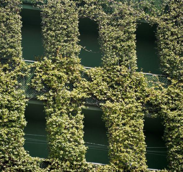 �evre sakinlerinden Pusat �a�atay Kaya (22) ise binan�n marjinal bir mimariye sahip oldu�unu belirterek, "�evreye de belki mesaj veriyor ve duyarl�l���m�z� tetikliyor olabilir. Balkonunda oturdu�unuz zaman bile insana maneviyat olarak iyi bir etki b�rakaca��n� d���n�yorum. Bakt���m�z zaman sanki botanik bah�esine benziyor. �lk yap�ld��� s�rada g�rd���mde hen�z etraf�n� sarma��klar sarmam��t� ve b�y�k bir hal� sahay� and�r�yordu. Bence Adana’da b�yle tasar�mlar�n yayg�nla�mas� laz�m" diye konu�tu.