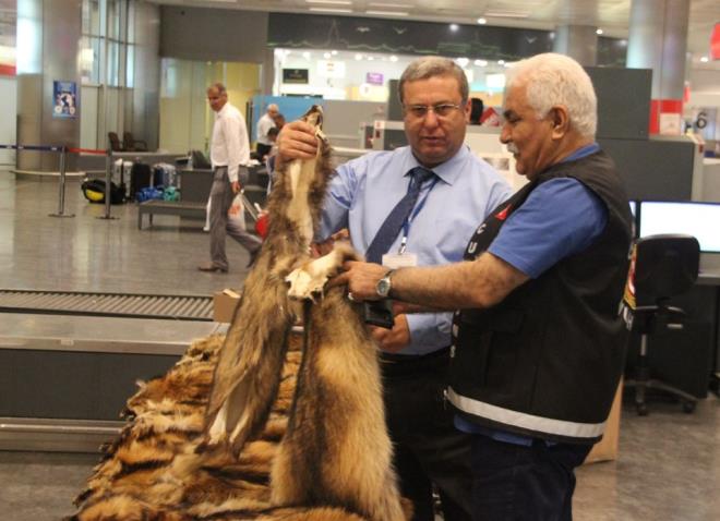 Yolcu, ilemlerinin ardndan uan kargo blmne teslim ettii valizini gmrkl alandaki bagaj teslim noktasndan almayarak, havalimanndan ayrld.