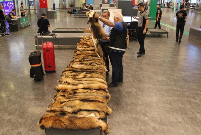 in'den tarifeli uakla Rusya'nn bakenti Moskova'ya, oradan da aktarmal olarak stanbul'a gelen inli yolcu F.T. Atatrk Havaliman'nda pasaport ilemlerini yapt.