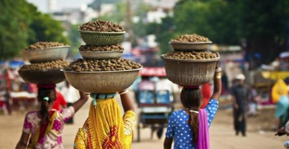 13-Noida, Hindistan    Kirlilik Endeksi:92.28