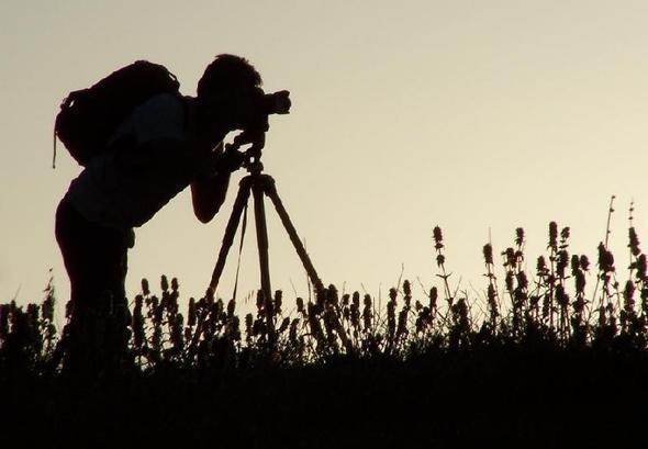 2- Fotoraf ilemcisi ile ilgili ilerde alanlar