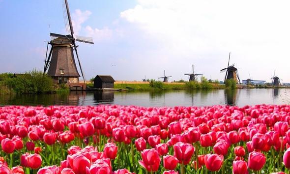 21. Hollanda