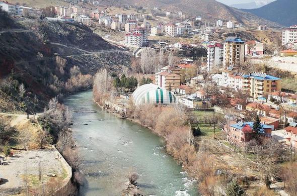 ehir: Bitlis    Yabanc says: 150    ehir: Tunceli    Yabanc says: 164