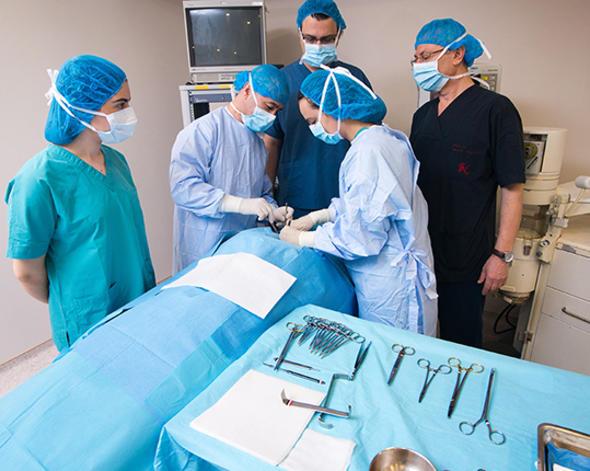 <p>STANBUL</p>  <p>stanbul Bilim niversitesirenci says: 2 bin 785Kadrolu retim eleman says: 205Kadrolu retim yesi says: 166</p>