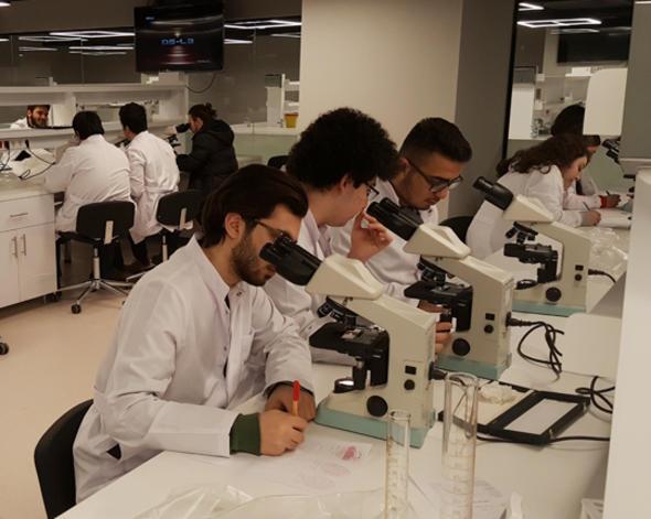 <p>STANBUL</p>  <p>stinye niversitesirenci says: 2 bin 266Kadrolu retim eleman says: 347Kadrolu retim yesi says: 251</p>