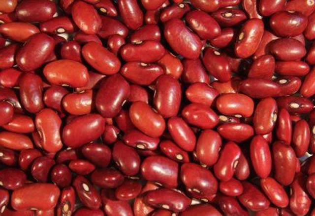 Krmz barbunya: i tad olduka kt olan krmz barbunya mide bulants, kusma,ba ars gibi salk sorunlarna neden olabiliyor. eriinde yer alan maddeler sebebiyle zehirlenmeye de neden olabilecek krmz barbunya piirilmeden nce 5 saat suda bekletilmeli.