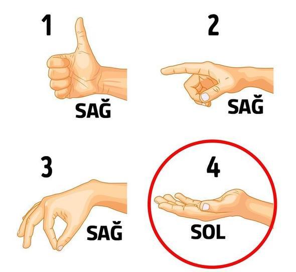 Resimlerden hepsi sa el, sadece 4 numaradaki sol el.