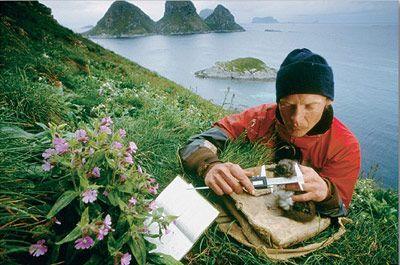 <p><b>Ekolog</b></p>  Dnya nfusunun art ve evresel atklarn miktarnn ykselmesi, evresel temizlii n plana karyor. Bu konuda grev alacak insanlara ihtiya duyulacak.