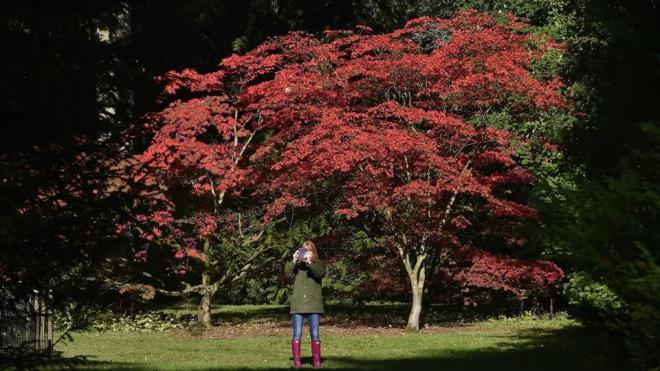 Yakn bir zamanda baka bir ilikiden kmak