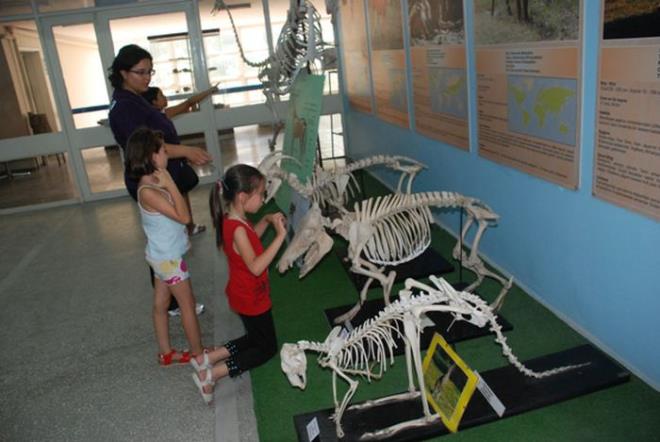 Kltrel Etkinliklere Katln<br>    Eer tatilinizi sadece evde geirmek istemiyor ve keyifli alternatif yollar aryorsanz, sinema, tiyatro ve eitli gsterilere giderek bu sreci deerlendirebilirsiniz. Gsterime giren filmleri, tiyatro ve eitli etkinliklerin tarihlerini renip biletinizi ayrarak bu bayram tatilinde kendinizi dllendirebilirsiniz.