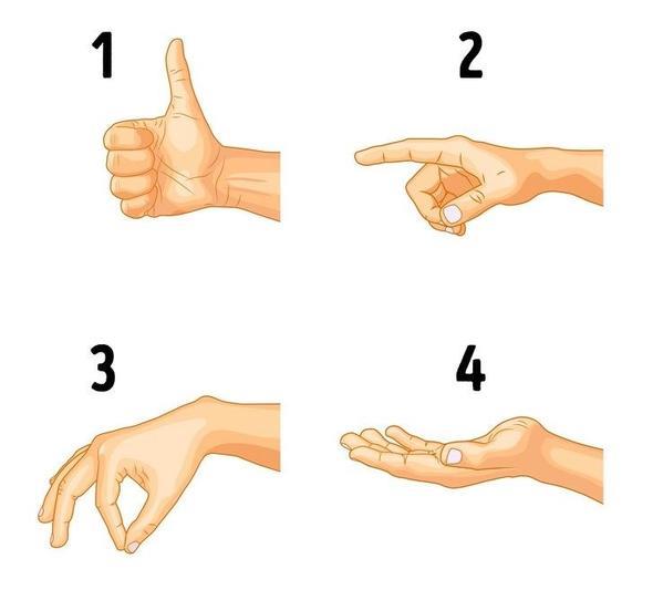 Numaral resimlerden hangisi dierlerinden farkl?