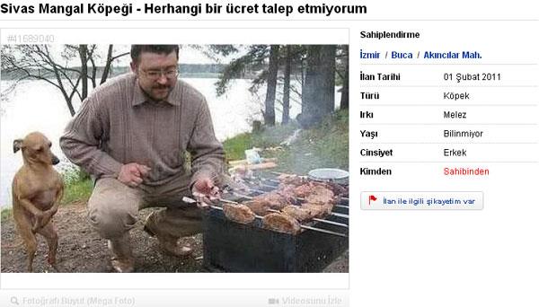 Baheli evi, iftlii olanlar iin bire bir. Apartman dairesinde besleyecekseniz tavsiye etmiyorum. Etlerin basnda durur, ters yz edilecei zaman havlayarak haber verir. Kesinlikle yemeye kalkmaz.