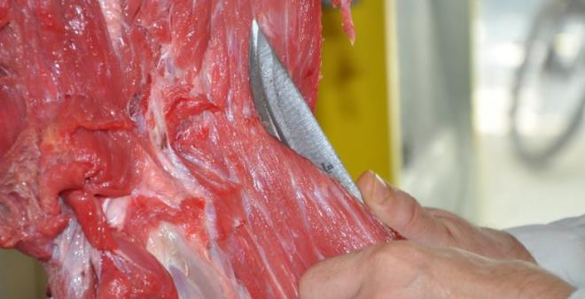 &#8216;KULLANACAGINIZ KADARINI PAKETLEYN'    Etlerin kullanabilecek paketler halinde derin dondurucuya konulmas gerektiine dikkati eken Keeci, u bilgileri verdi: