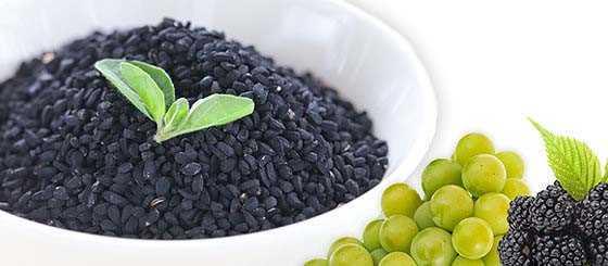 Deneysel almalar rekotu tohumlar ve uucu yan homosistein zerindeki etkisinin folik asitten daha fazla olduunu gstermitir.