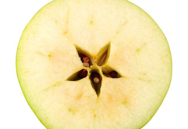 Yaz aylarnda zellikle ocuklarn ya da anne adaylarnn; severek tketilen o meyvelerin ekirdeklerini tketmemeleri gerekiyor. te uzmanlarn aklad zehirli ekirdekleri olan meyveler...