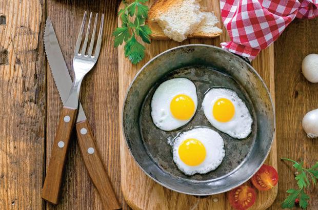 Oysa her iki gr de yanltr. Besin deeri, lezzet ve pime karakteristikleri bakmndan her iki renk yumurtann da ii ayn deerdedir.