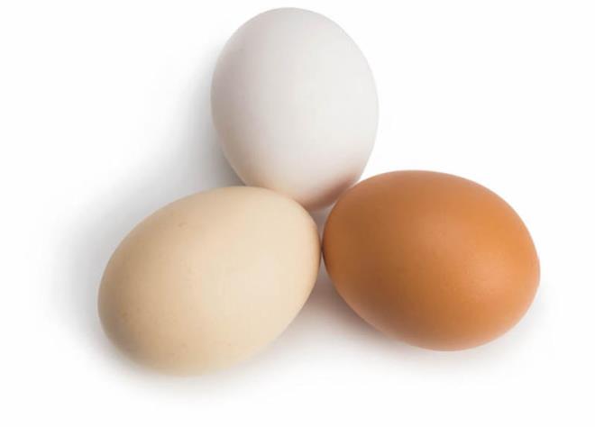 Hayr. Yumurtann kabuk rengi tavuun cinsiyle alakaldr.
