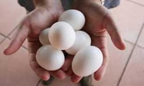 <p>Sofralarn vazgeilmezi yumurta</p>  <p>stanbul Teknik niversitesi Gda Mhendislii Blm'nde yaplan aratrmaya gre , besinler ierisinde en kaliteli proteine sahip gdann yumurta olduu tespit edildi .</p>  <p><b>Yumurta proteini, dardan alnmas gerekli olan &#8216;elzem amino asitleri&#8217; yeterli ve dengeli miktarda ierir.</b></p>