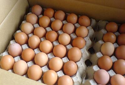 <p>Yumurta nasl korunur ?</p>  <p>Yumurta abuk bozulan gdalardan olduu iin buzdolabnda karton ambalajyla muhafaza edilmelidir.</p>