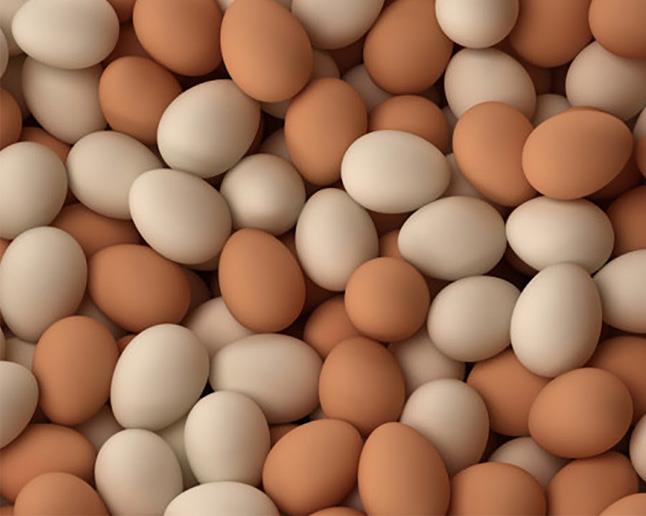 <p><b>Kahverengi yumurtalar beyazlara gre daha besleyici midir?</b></p><p><b>Tavuk yeminde nerilen miktarndan daha fazla buday bulunursa yumurta sars ak, msr bulunursa koyu olabilmektedir.</b></p>