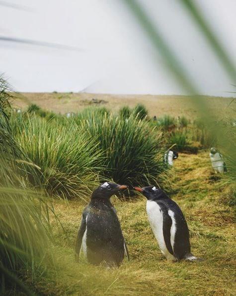 letme Blm son snfta okuyan ve u anda Londra&#8217;da bir Start-Up firmasnda staj yaptn belirten zdemir, gezgin olmak isteyenlerin @barkinozdemir hesabndan kendisine ulaabileceini szlerine ekledi.