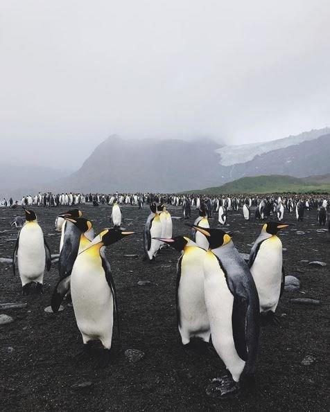 "KENDNZ GEREKTEN HAZIR HSSETTNZ ANDA BU HEDEF N ADIM ATIN"   zdemir, "Asla diye bir ey yok. Eer gerekten bir eyi ok isterseniz yapabilirsiniz ve bu yolda gerekten ok fedakar olmak gerekiyor. Maddi, manevi ok byk snavlardan geiyorsunuz ve en nemlisi de kendinizi gerekten hazr hissettiiniz anda bu hedefi gerekletirmeye adm atn" ifadelerini kulland.