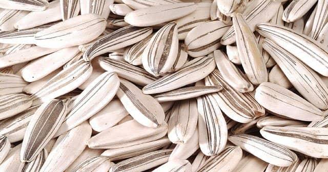 Ay ekirdei uzmanlara gre depresyon olasln azaltarak kiiyi rahat ve gvende hissettiriyor.