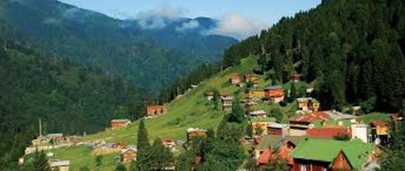 <p>l: Rize</p>  <p>  Kira Bedeli (Metrekare-TL): 7.55</p>  <p>  l: Isparta</p>  <p>  Kira Bedeli (Metrekare-TL): 7.72</p>  <p>  l: Ankara</p>  <p>  Kira Bedeli (Metrekare-TL): 7.81</p>