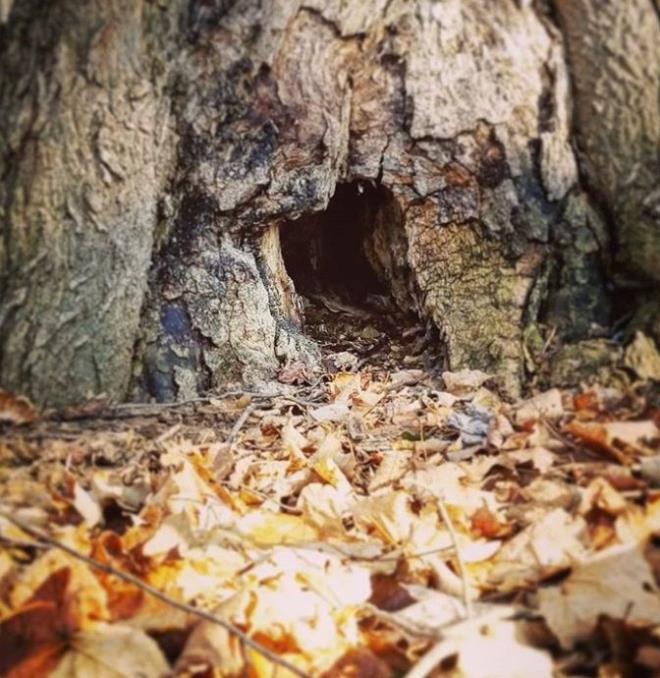 Ailenizde ve i yerinizde rahat hisseden kii olabilirsiniz, ancak hayatnzda istediiniz eyden emin olmanz lazm.