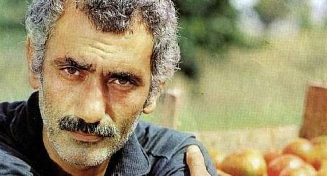 YILMAZ GNEY-  Ylmaz Ptn