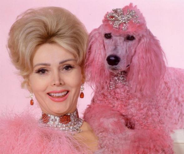 Zsa Zsa Gabor'un dokuzuncu ve son evlilii ise Frdric Prinz von Anhalt ile yapt oldu. Gabor'un bu evlilii 1986 ylnda balad ve ifti bu kez lm ayrd.