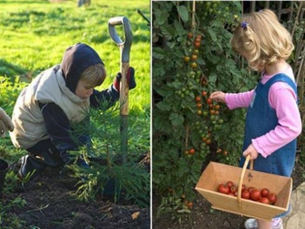 41. Bir bitki ekip, bytp, onu yemek