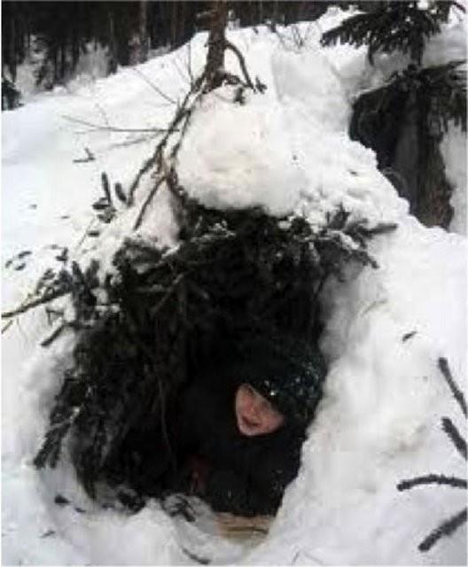 36. Doadaki hayvanlar iin barnak yapmak