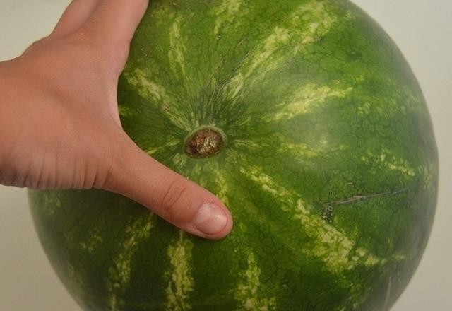 Yeil ve taze kuyruklu karpuzlar olgun deildir. Kuyruk ksm kuru olan karpuzlar sein. Karpuzun eer bir kuyruu yoksa, o zamaman sabitleme alanna dikkat edin. o blgenin kahverengi olmas gerekir.