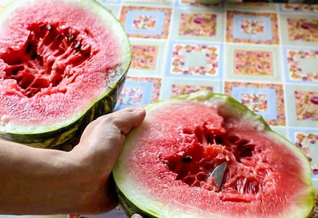 PEK BTN BUNLARDAN SONRA LEZZETL BR KARPUZ NASIL SELR? Olgun ve tatl bir karpuz her zaman parlak ve przsz olmaldr. Bu yzden ezik olmayan ve bir yerinde hasar olmam karpuzu sein.