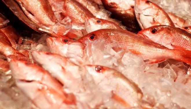 Besin puan 69 olan gdalar:  Kurutulmu maydanoz, krmz levrek.