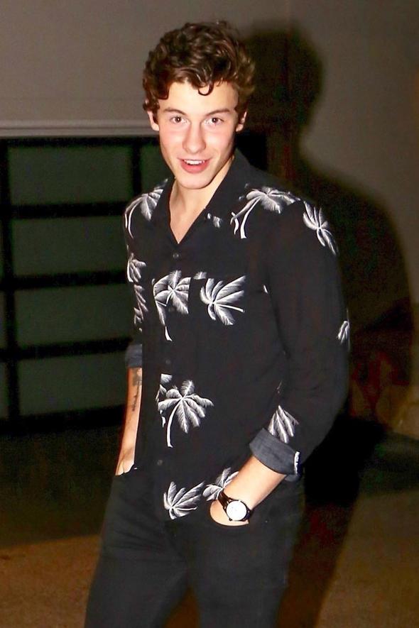 Yani onun da Shawn Mendes ile bir akrabal yok.