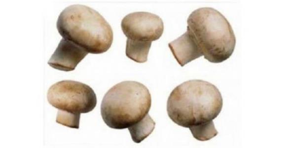 Ormanda zehirli mantarlar toplayp, hepsini piirip yedikten sonra akama evde l bulunan aile (Datada).