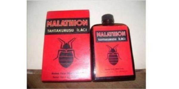 Yatandaki tahtakurusu veya bilimum haerat ldrmek iin yata ilaladktan biraz sonra uykuya dalarak vefat etmek (Bodrum/Yalkavak Ky).